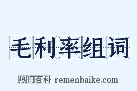 毛利率组词是什么意思的图片